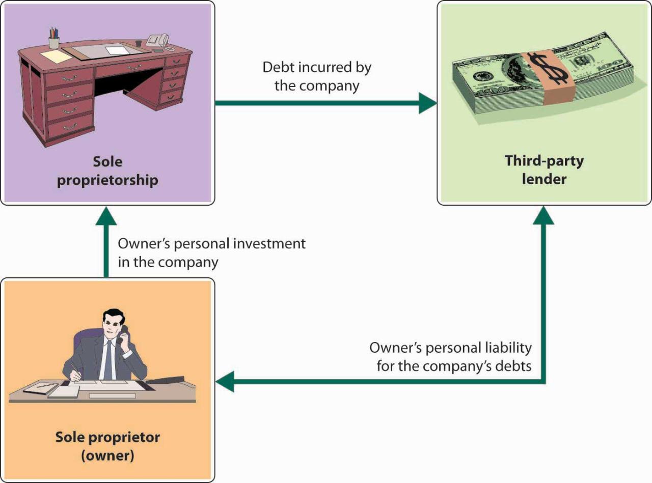 Sole examples economics proprietors