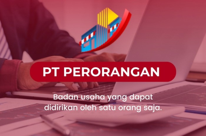 Syarat Pembuatan PT Perorangan