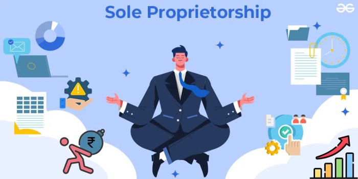 Sole proprietorship partnership bhd business