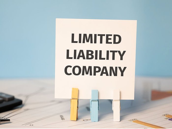 Liability corporation llc