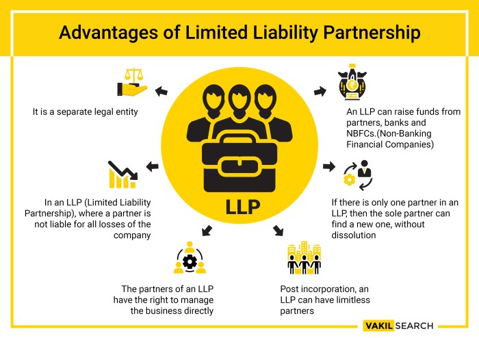 Visual partnerships patriotsoftware liable debts