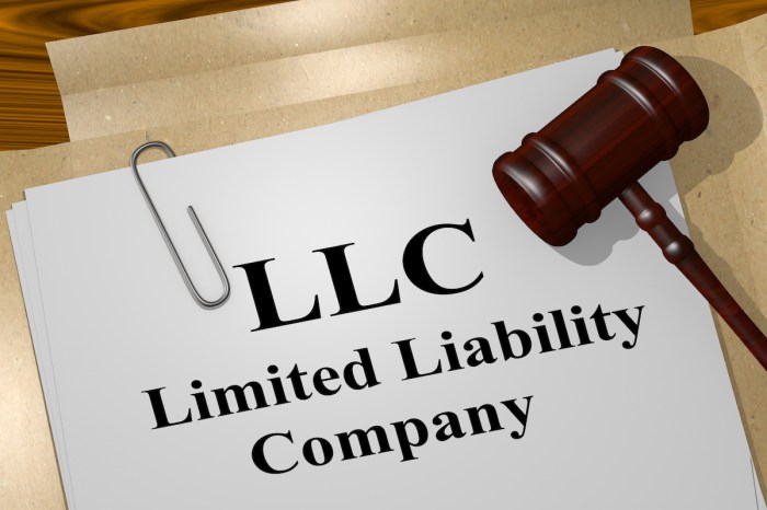 Llc estate real company limited forming liability form llcs starting contractor independent business guide cons pros part considerations filing should