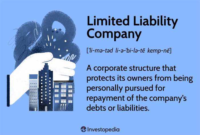 Llc limited liability company business advantages corporation california disadvantages form forming legal right mistakes common