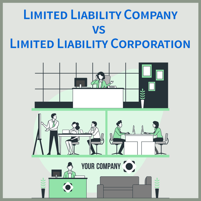 Llc limited liability company business advantages corporation california disadvantages form forming legal right mistakes common