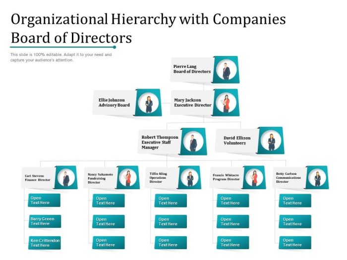 Director board views june