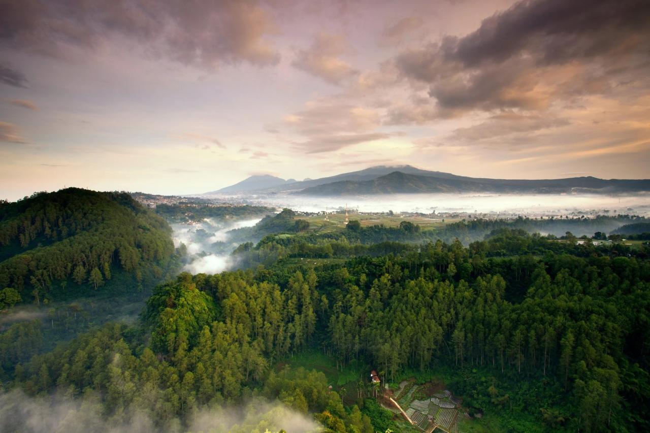 Notaris untuk pendirian PT di Lembang