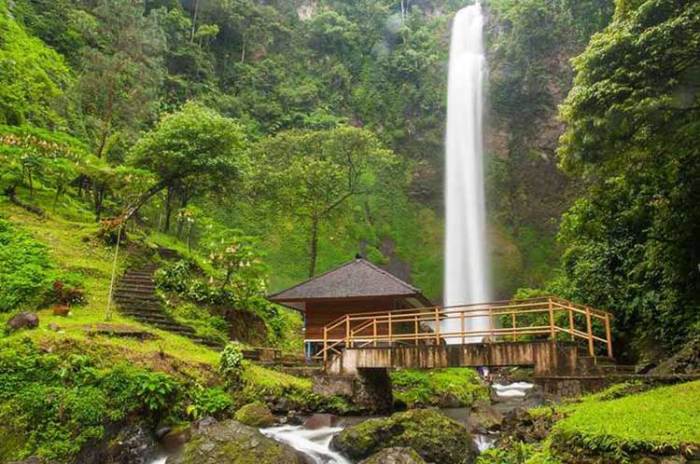 Syarat pendirian PT di Cimahi dan jasa yang membantu pengurusannya