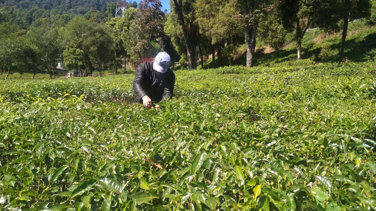 Jasa Pendirian PT Pasirjambu