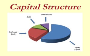 Tips Menentukan Struktur Modal PT