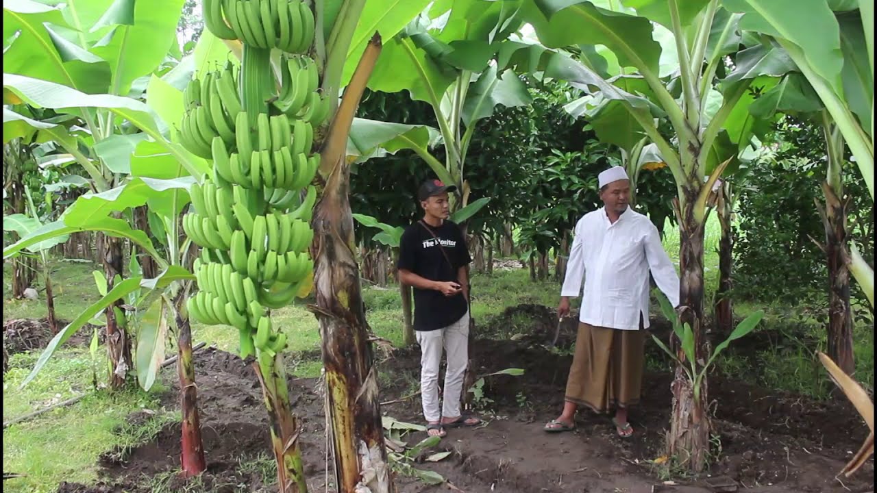 Jasa Pengurusan CV Kebon Pisang Bandung