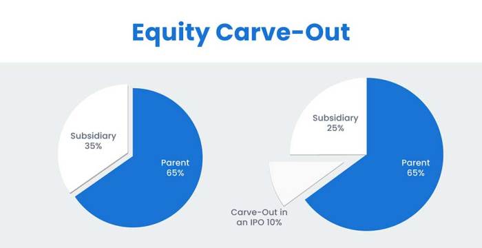 Apa yang dimaksud dengan carve-out?