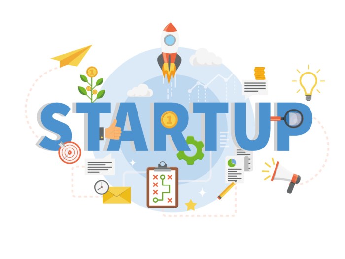 Apa itu startup?