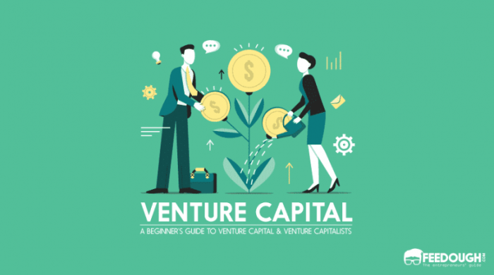 Apa itu venture capital?