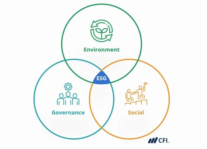 Apa itu environmental, social, and governance (ESG)?