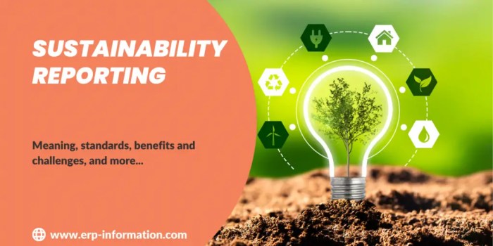 Apa itu sustainability reporting?